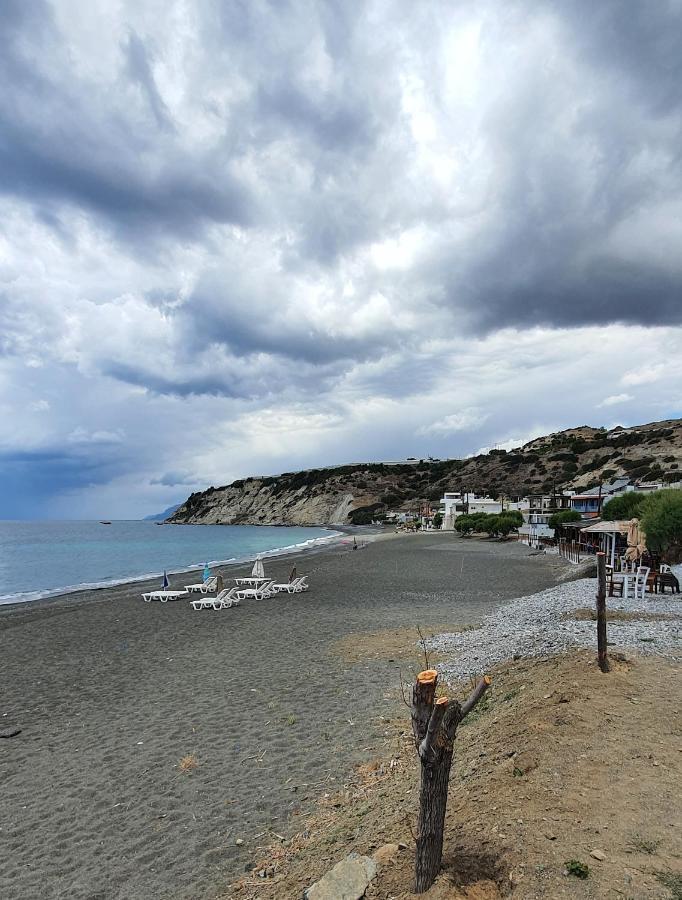 Eirini Apts On The Beach Psari Forada Eksteriør billede